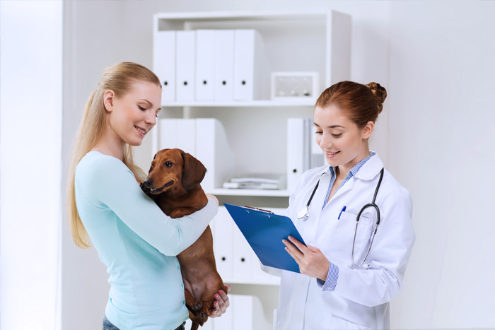 ЭЦП для оформления ветеринарных сертификатов (ГИС Меркурий) в Великих Луках